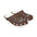 Jack's Links Beef JerkyEVA Foam Rubber Shoes (AOP)