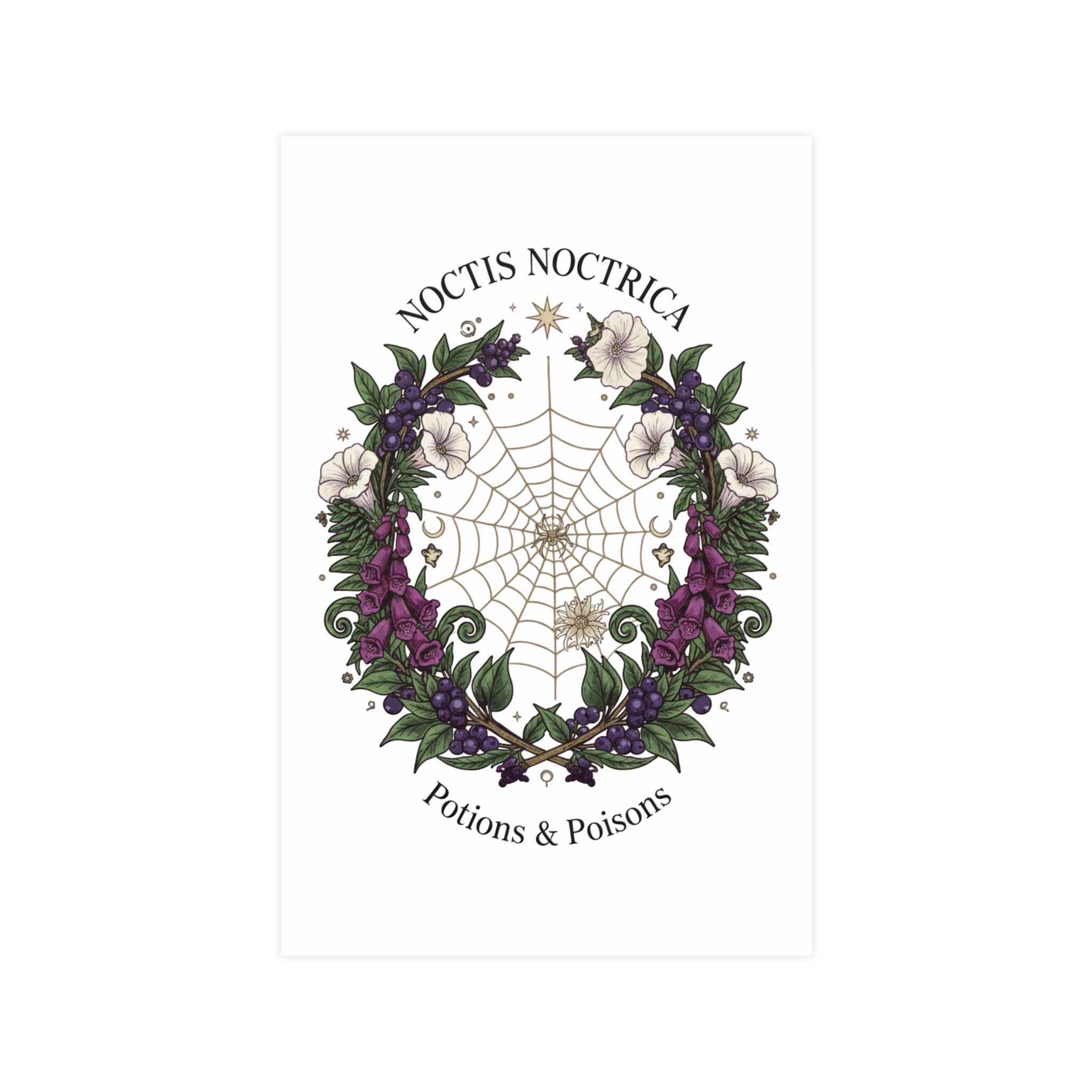 Noctis Noctrica Floral Spiderweb Poster — 'Potions & Poisons' Matte Art Print - Creations by Chris and Carlos