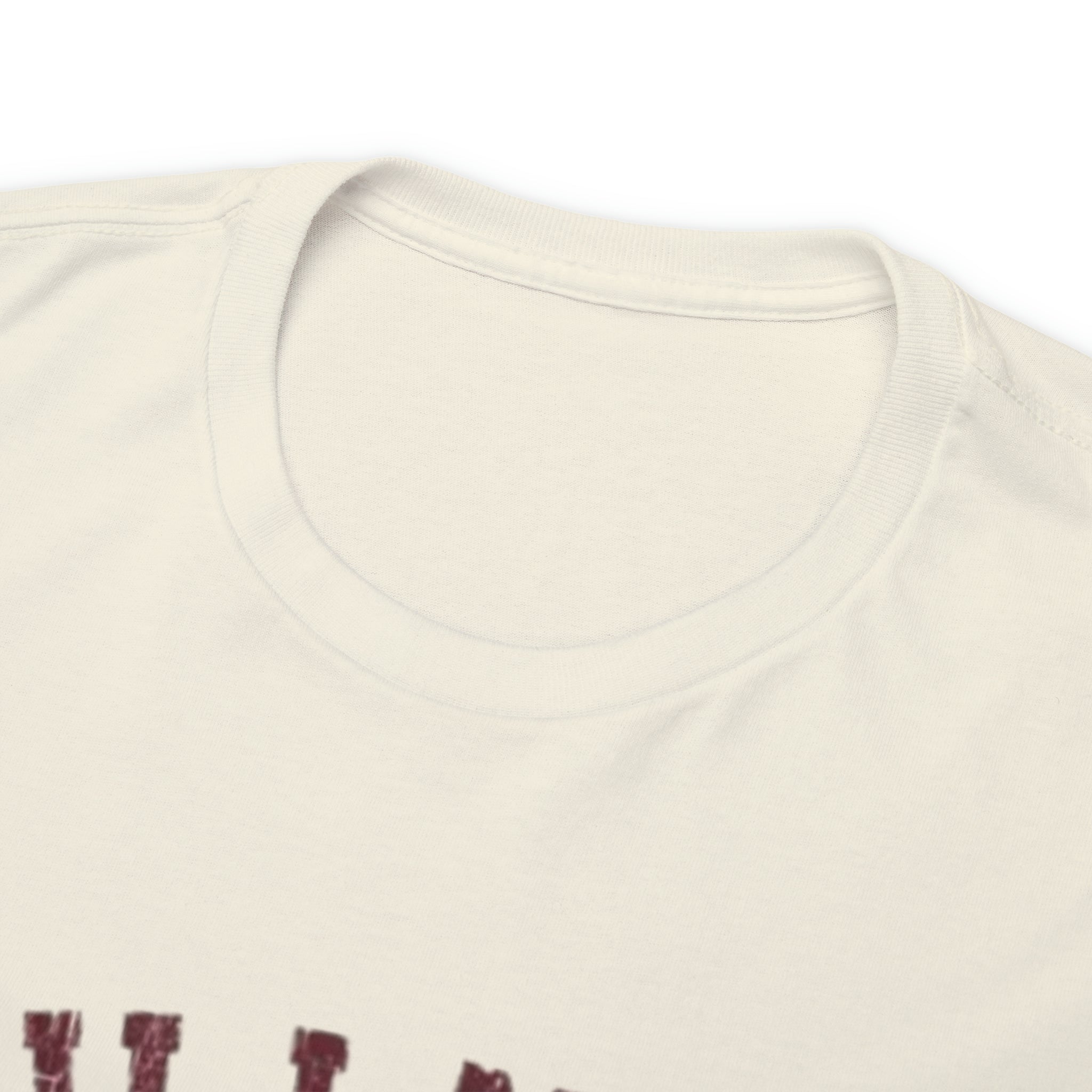 Hillman College- Unisex Heavy Cotton T-Shirt - Creations by Chris and Carlos