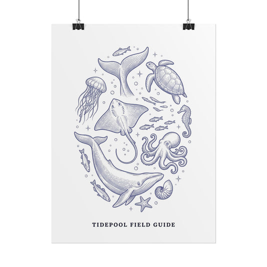 Tidepool Field Guide Rolled Poster — Marine Life Illustration Wall Art - Creations by Chris and Carlos