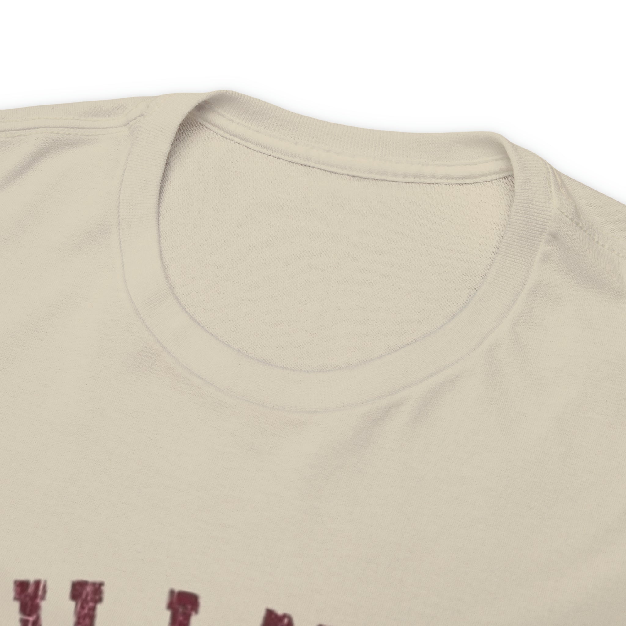 Hillman College- Unisex Heavy Cotton T-Shirt - Creations by Chris and Carlos