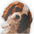 Dog- Custom Shaped Pillows *2-3 Week Shipping Timeframe*