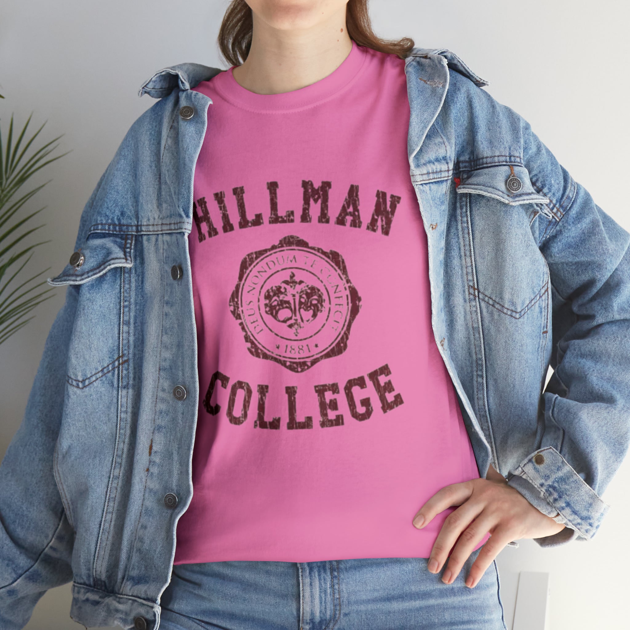 Hillman College- Unisex Heavy Cotton T-Shirt - Creations by Chris and Carlos