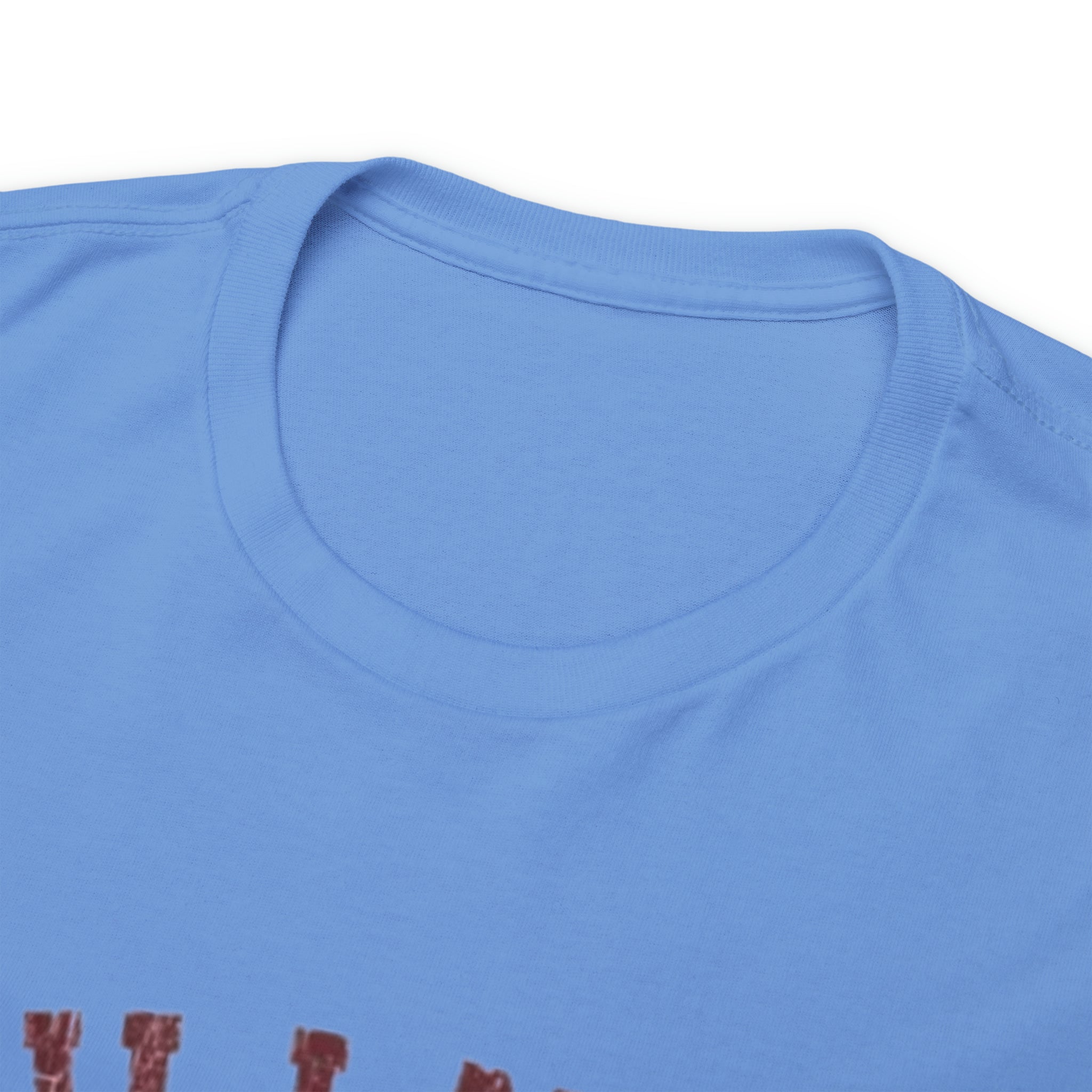 Hillman College- Unisex Heavy Cotton T-Shirt - Creations by Chris and Carlos