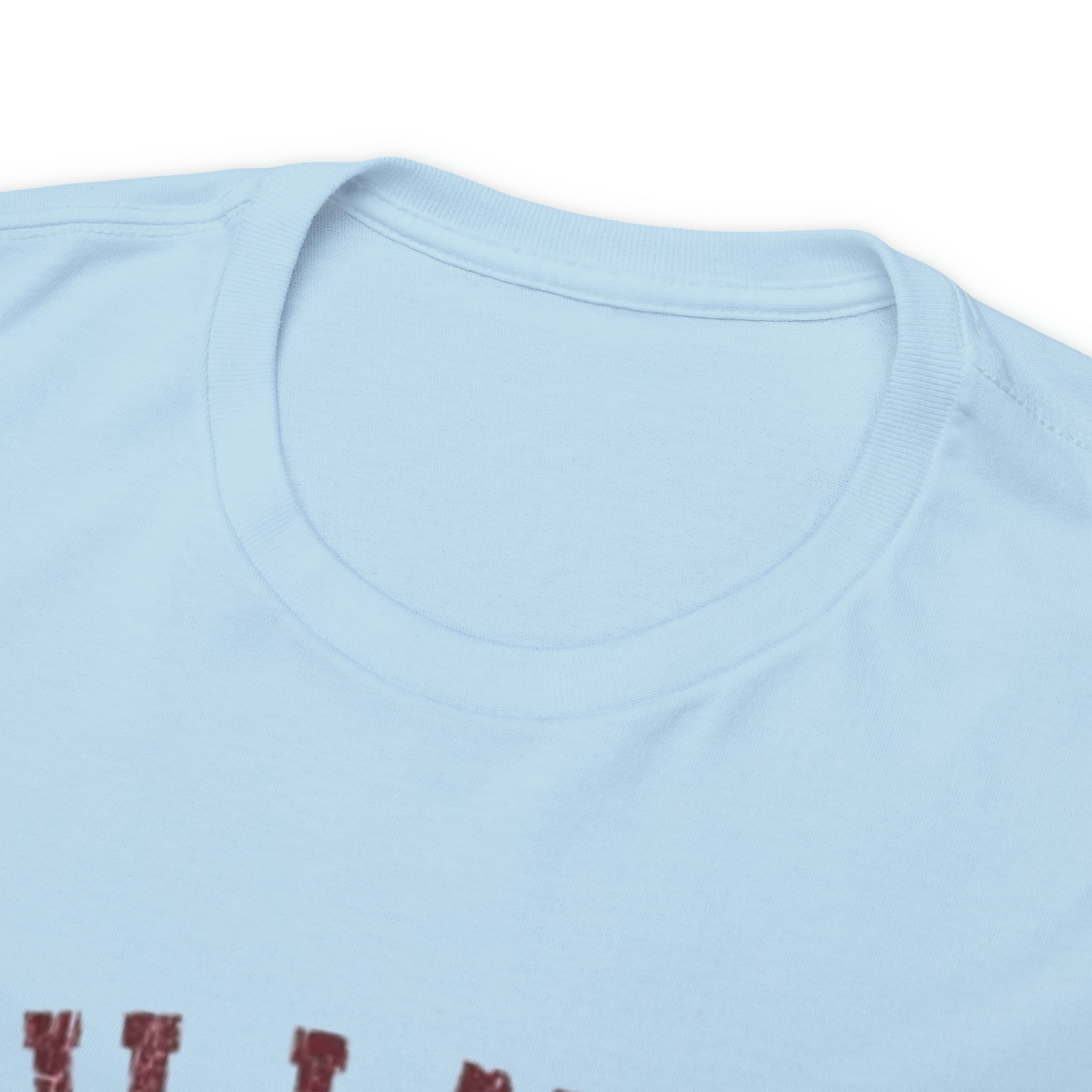 Hillman College- Unisex Heavy Cotton T-Shirt - Creations by Chris and Carlos