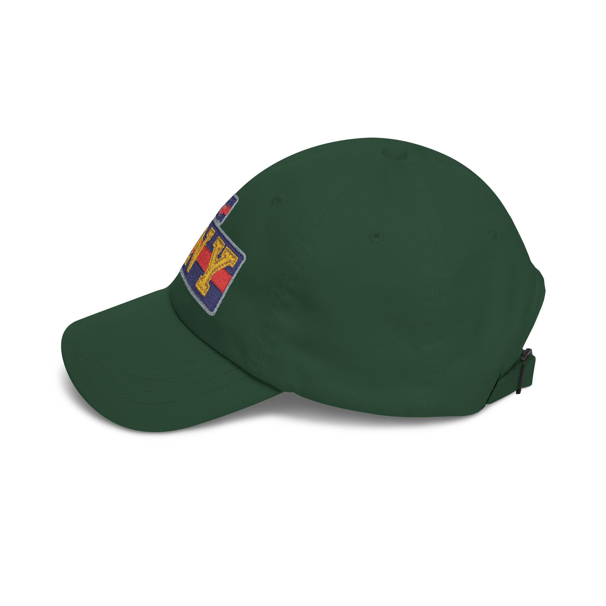 BNY Embroidered Dad Cap — Vintage Varsity Patch Baseball Hat - Creations by Chris and Carlos