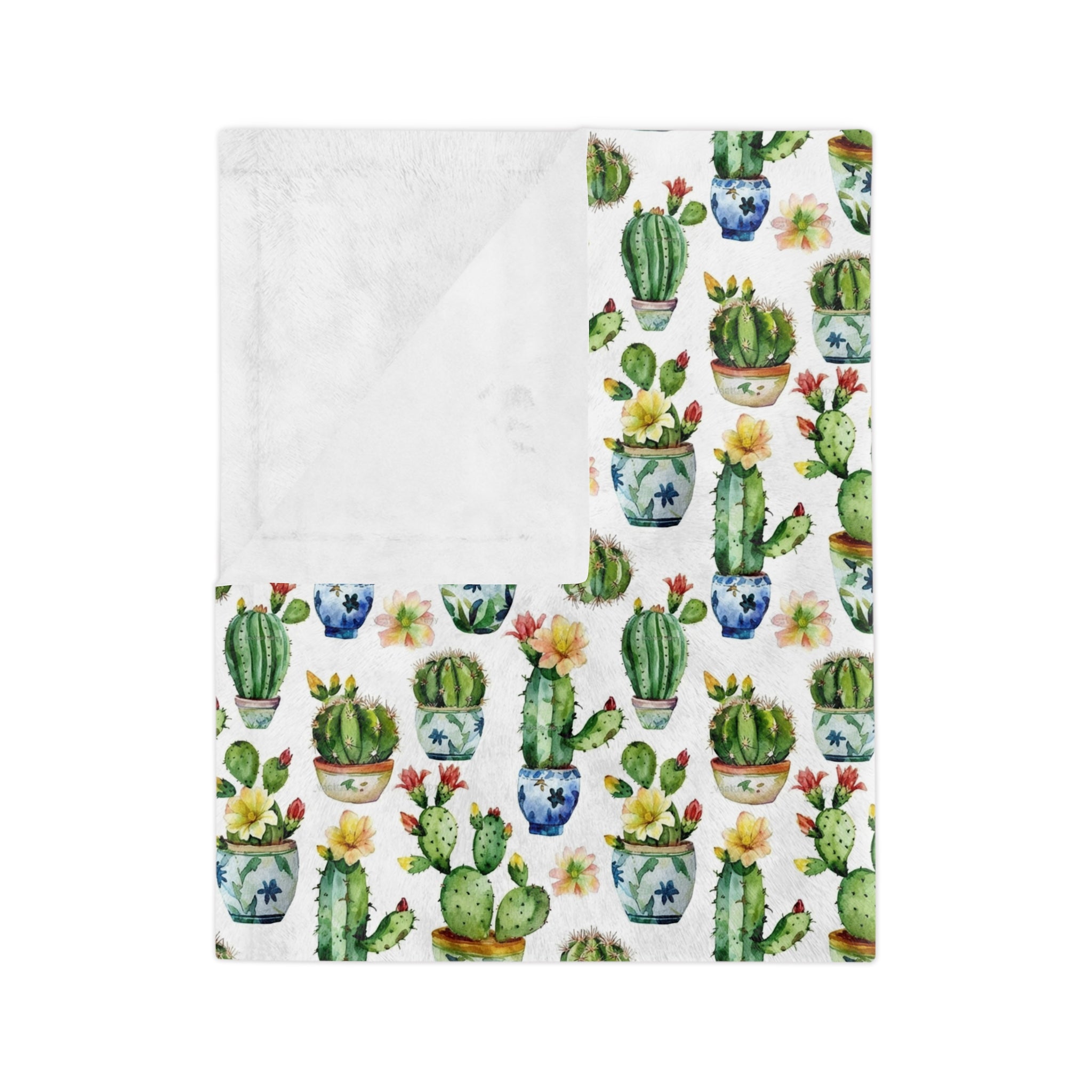 Sol y Alegría (Sun and Joy) Collection- Cactus Succulent Pattern Microfiber Blanket Soft Velveteen Throw for Home & Garden Lovers - Creations by Chris and Carlos