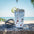 Cher- Sunsplash Tumbler with Straw, 16oz