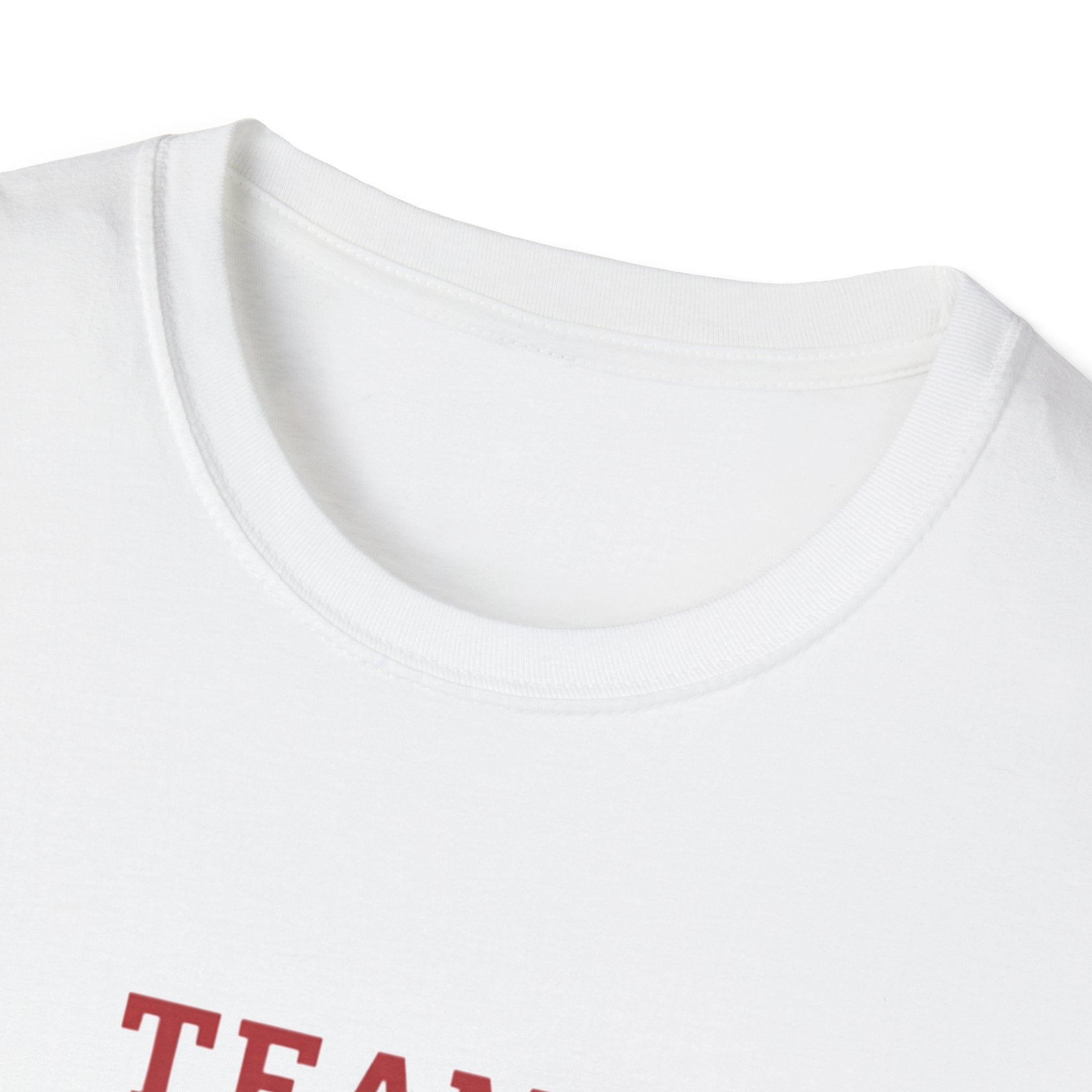 94 BNY Football Bunny T-Shirt — Easter Game Day Tee - Creations by Chris and Carlos