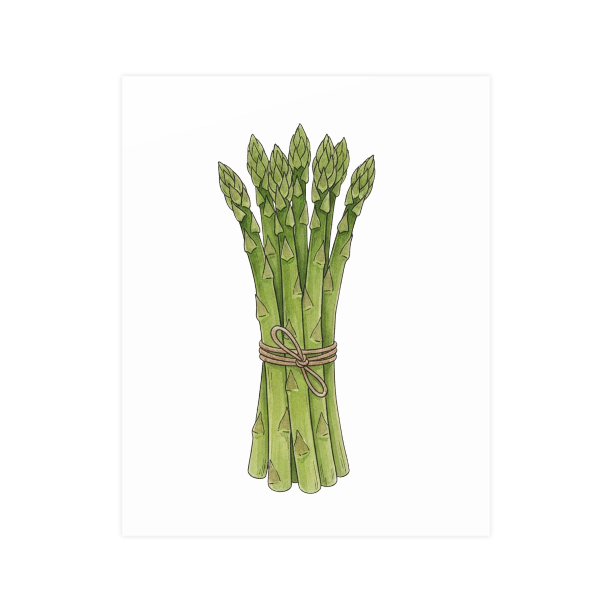 Asparagus Botanical Poster — Minimal Kitchen Wall Art (Vertical & Horizontal) - Creations by Chris and Carlos