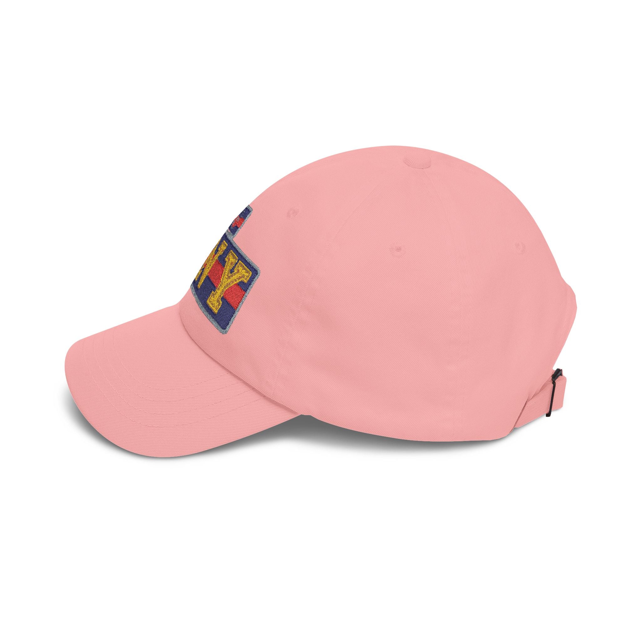 BNY Embroidered Dad Cap — Vintage Varsity Patch Baseball Hat - Creations by Chris and Carlos