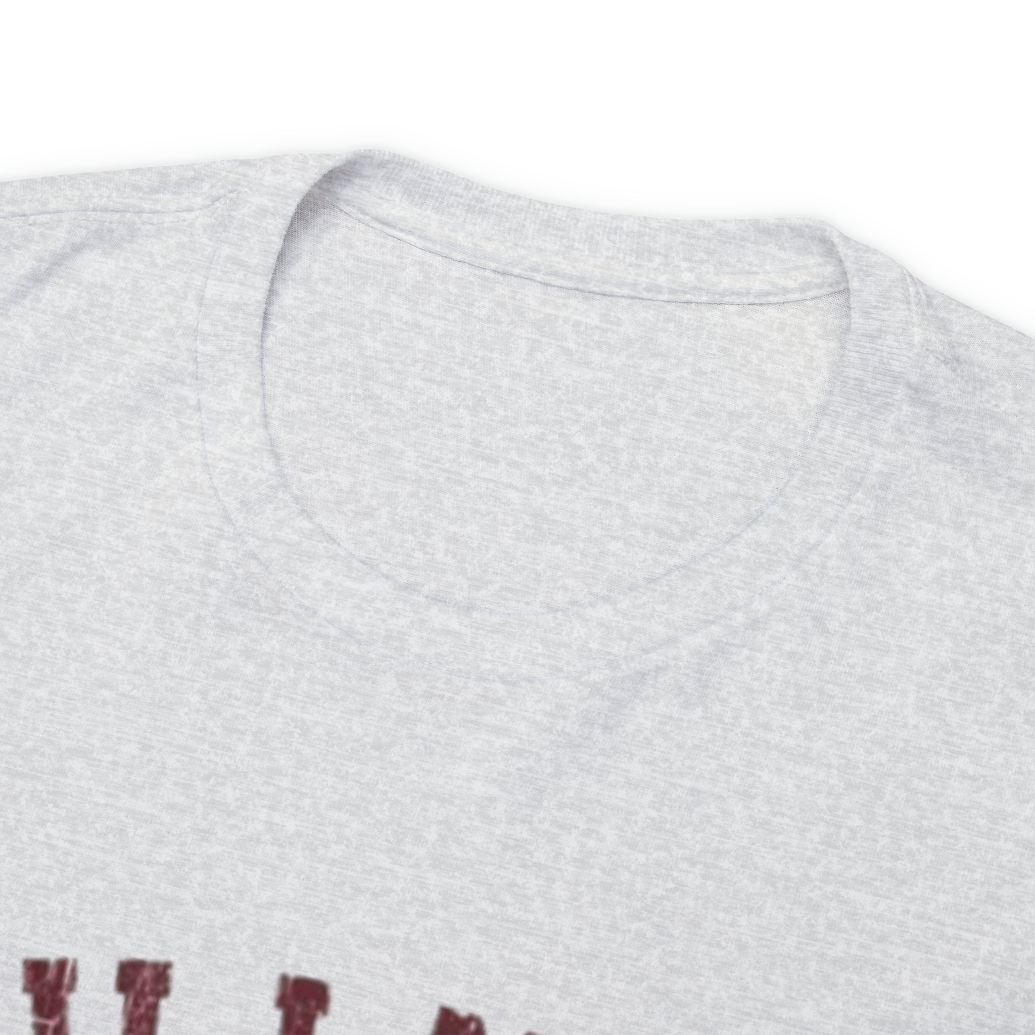 Hillman College- Unisex Heavy Cotton T-Shirt - Creations by Chris and Carlos