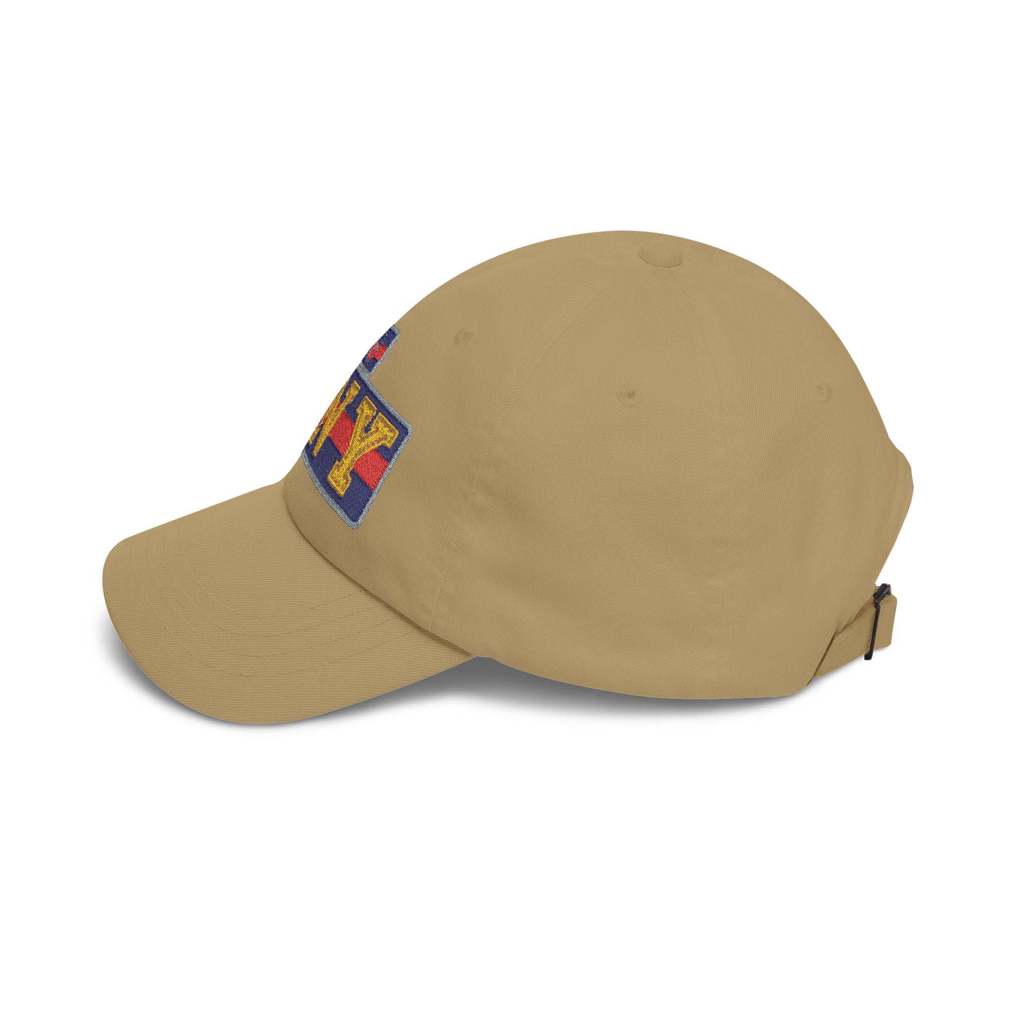 BNY Embroidered Dad Cap — Vintage Varsity Patch Baseball Hat - Creations by Chris and Carlos