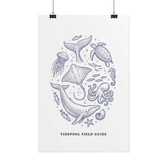 Tidepool Field Guide Rolled Poster — Marine Life Illustration Wall Art - Creations by Chris and Carlos