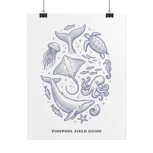 Tidepool Field Guide Rolled Poster — Marine Life Illustration Wall Art - Creations by Chris and Carlos