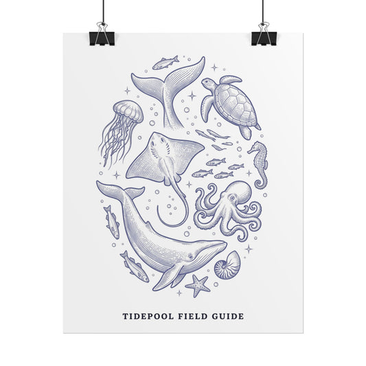 Tidepool Field Guide Rolled Poster — Marine Life Illustration Wall Art - Creations by Chris and Carlos