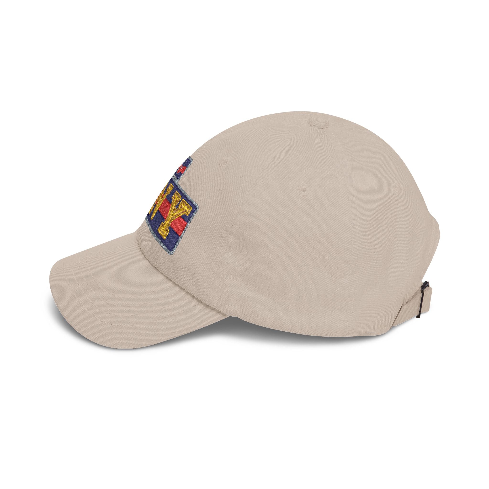 BNY Embroidered Dad Cap — Vintage Varsity Patch Baseball Hat - Creations by Chris and Carlos