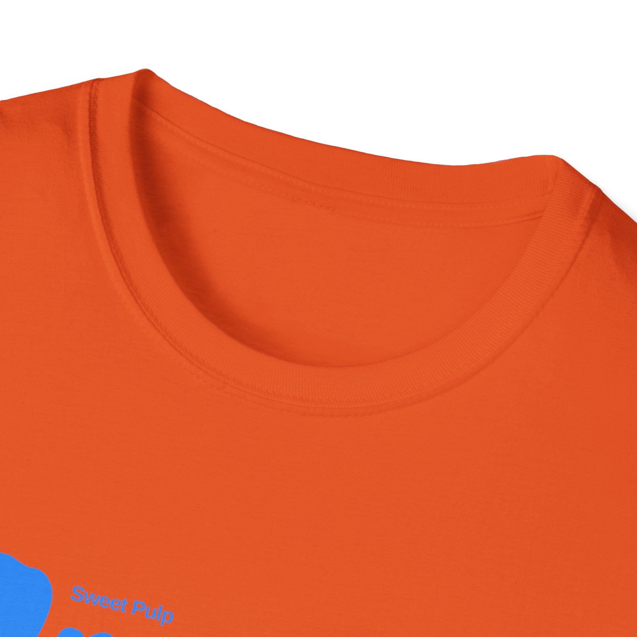 Orange Lunch Graphic T-Shirt — "An Orange A Day Makes My Day" Retro Fruit Tee - Creations by Chris and Carlos