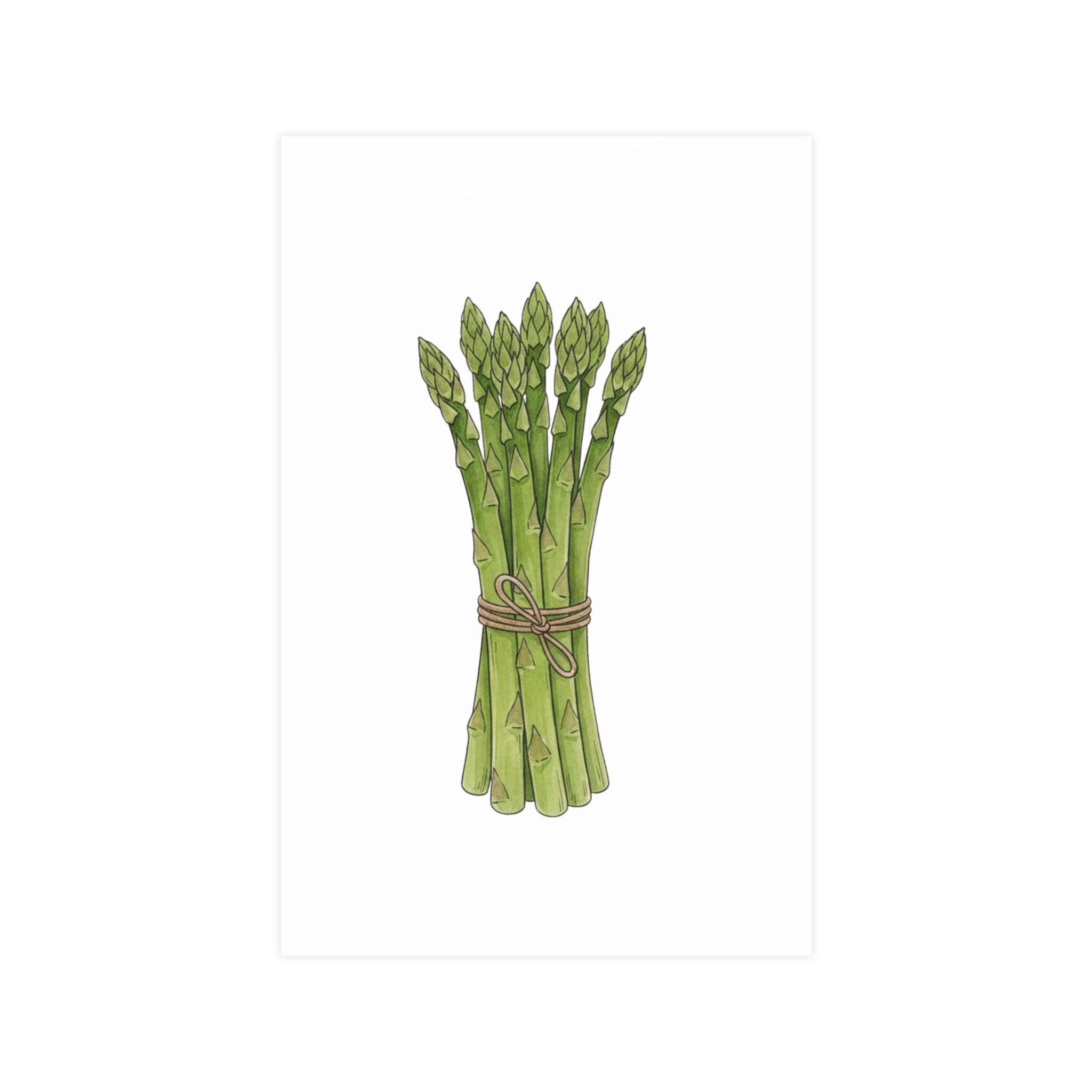 Asparagus Botanical Poster — Minimal Kitchen Wall Art (Vertical & Horizontal) - Creations by Chris and Carlos