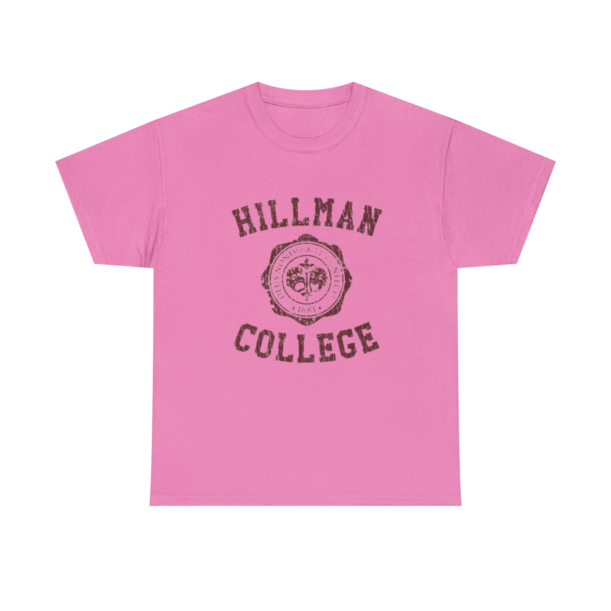Hillman College- Unisex Heavy Cotton T-Shirt - Creations by Chris and Carlos