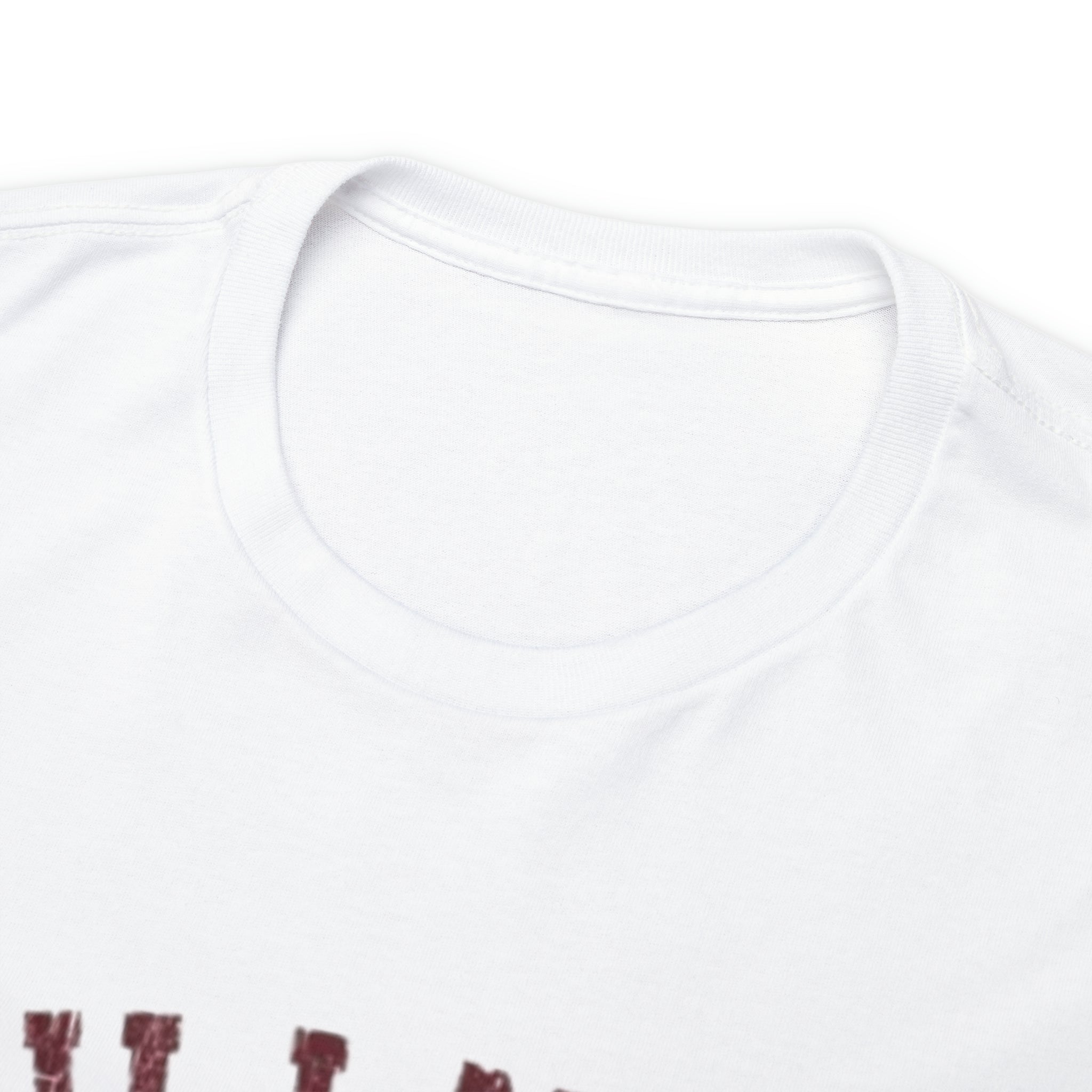 Hillman College- Unisex Heavy Cotton T-Shirt - Creations by Chris and Carlos