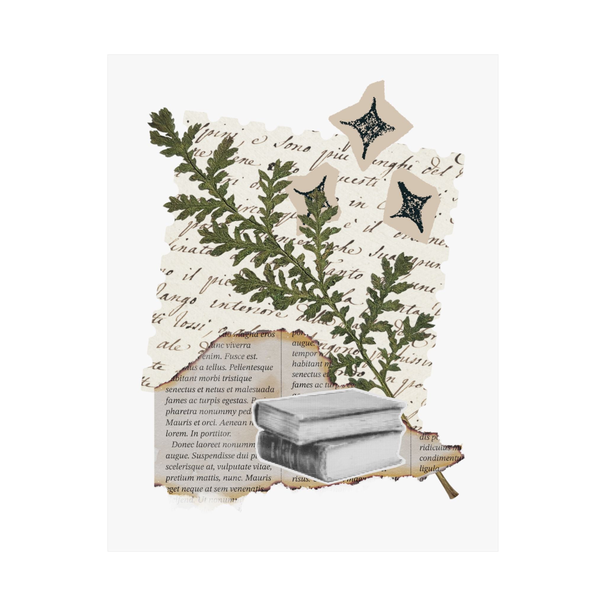 Briarwood Garden Botanical Collage Matte Poster — Vintage Books & Fern Wall Art - Creations by Chris and Carlos