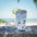 Cher- Sunsplash Tumbler with Straw, 16oz