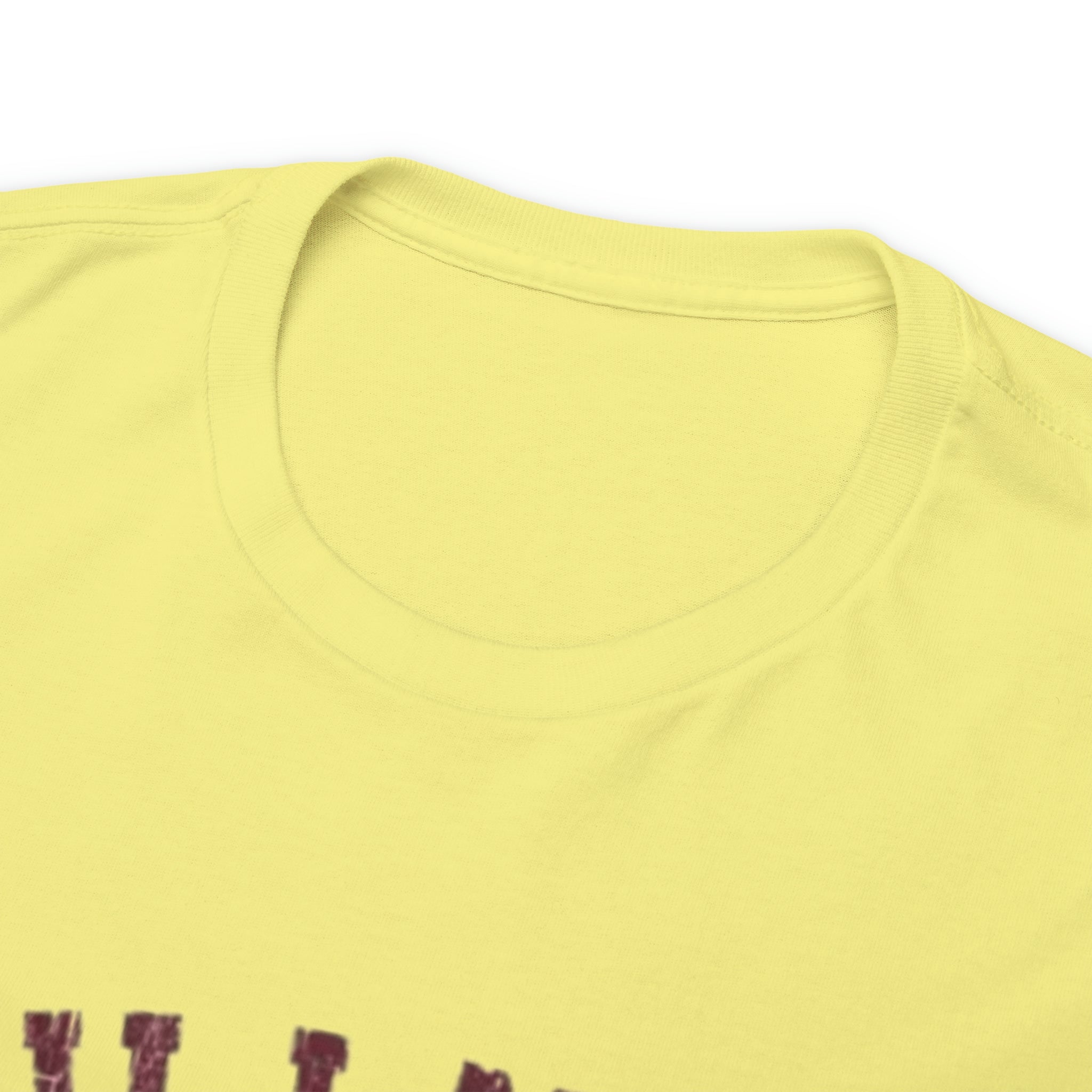 Hillman College- Unisex Heavy Cotton T-Shirt - Creations by Chris and Carlos