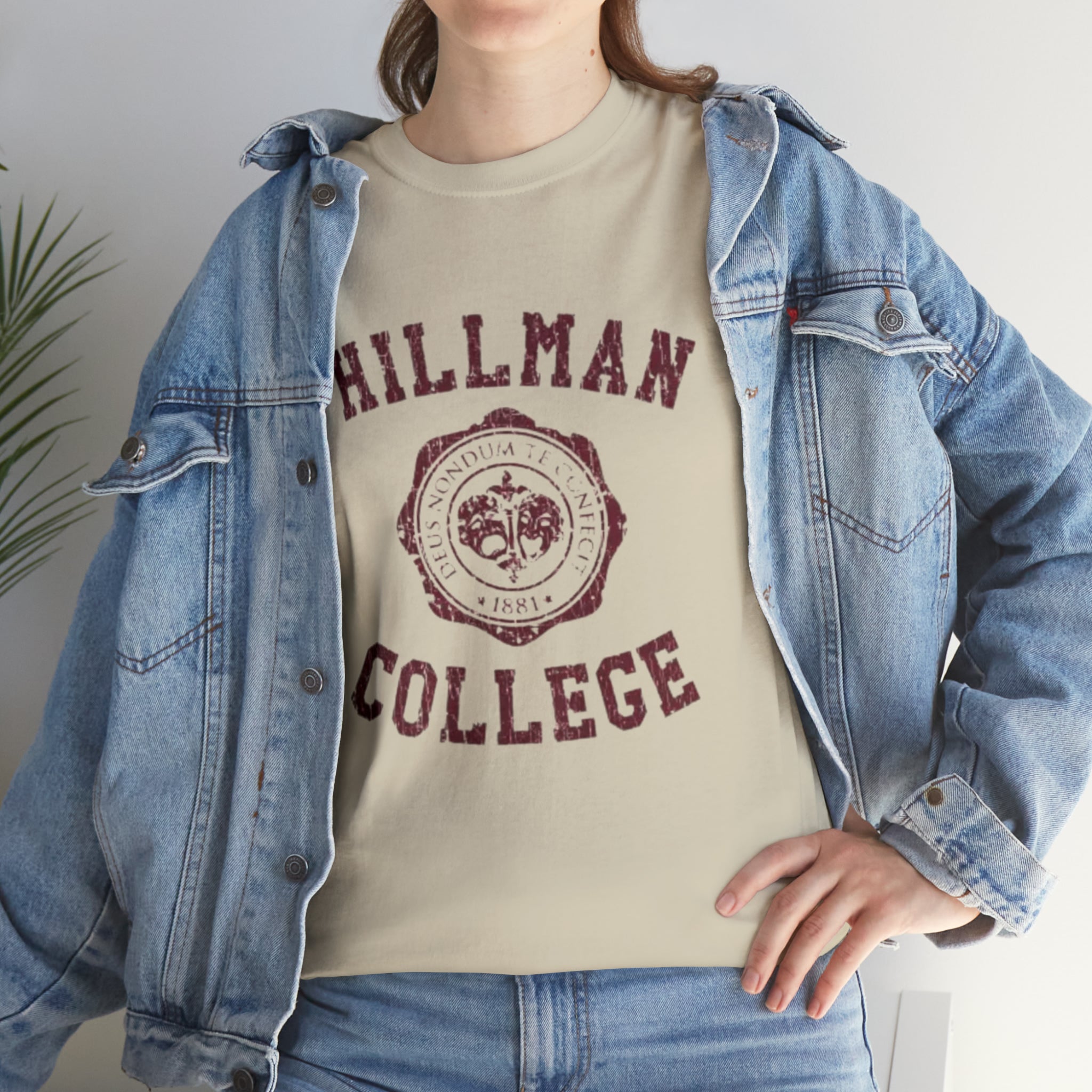 Hillman College- Unisex Heavy Cotton T-Shirt - Creations by Chris and Carlos