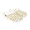 The FlintstonesEVA Foam Rubber Shoes (Women) White