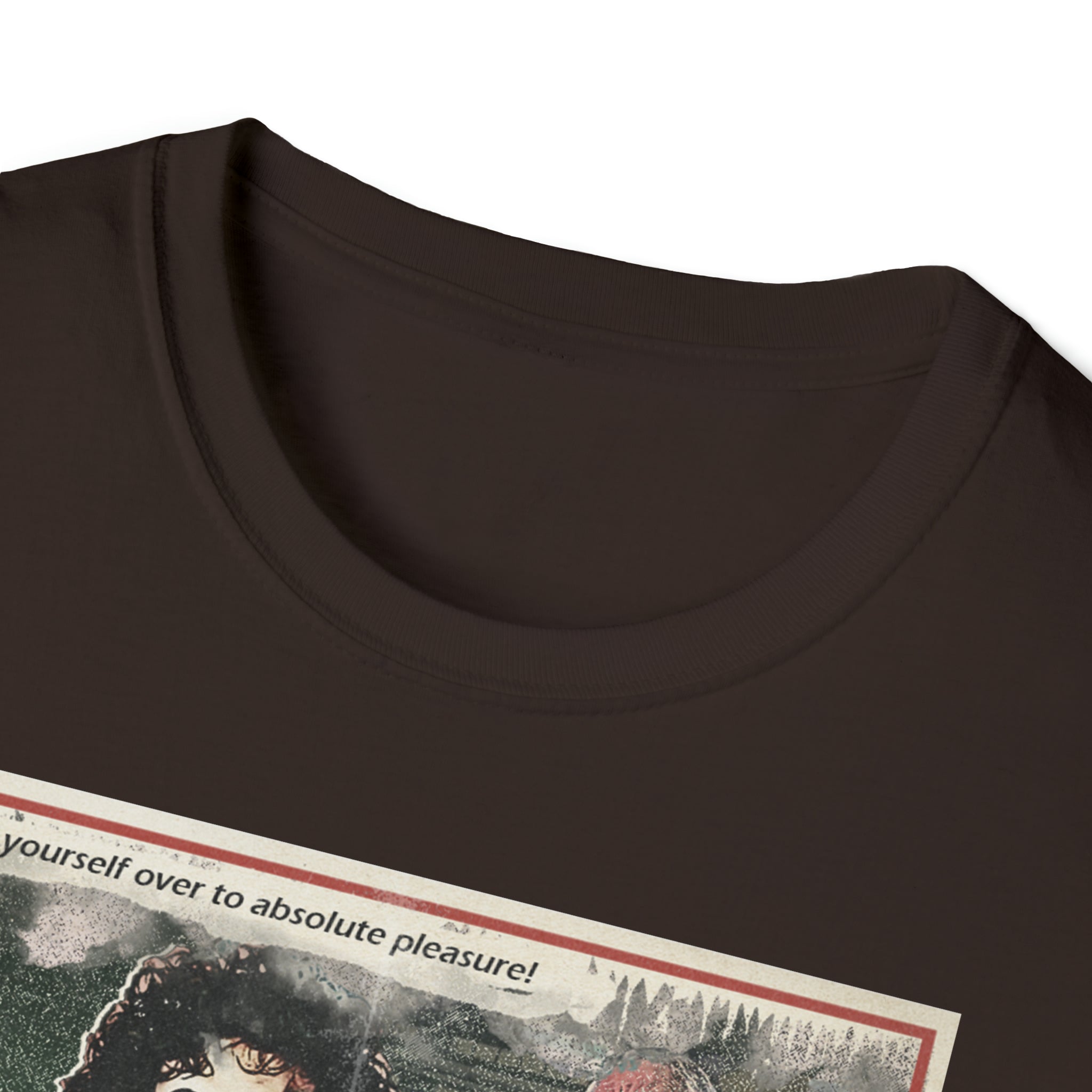 The Rocky Horror picture show- Unisex Softstyle T-Shirt - Creations by Chris and Carlos