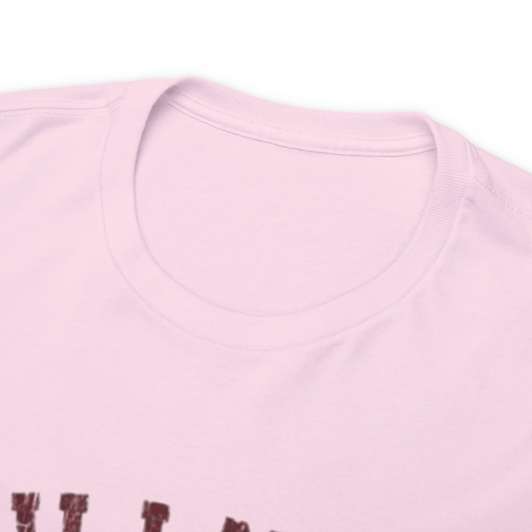 Hillman College- Unisex Heavy Cotton T-Shirt - Creations by Chris and Carlos