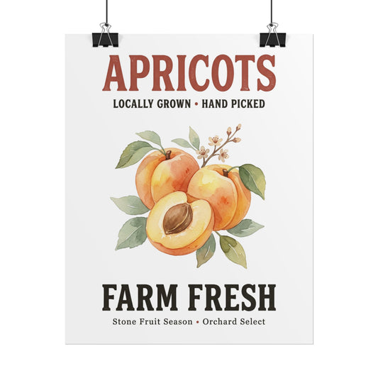 Apricots Farm Fresh Poster — Vintage Fruit Kitchen Wall Art - Creations by Chris and Carlos