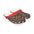 Rocky Horror Picture Show Rubber Shoes