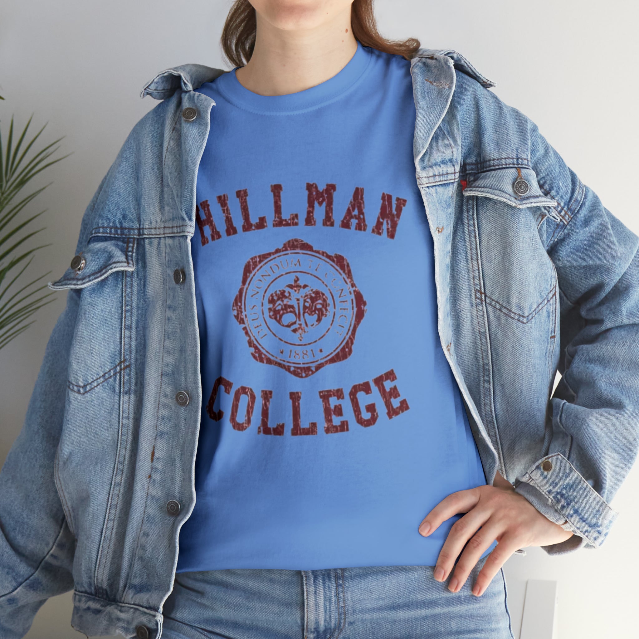 Hillman College- Unisex Heavy Cotton T-Shirt - Creations by Chris and Carlos