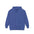 Freedom Unisex Garment-Dyed Hoodie - Comfortable, Casual Wear for Everyone, Perfect for Spring, Social Justice, and Everyday Style