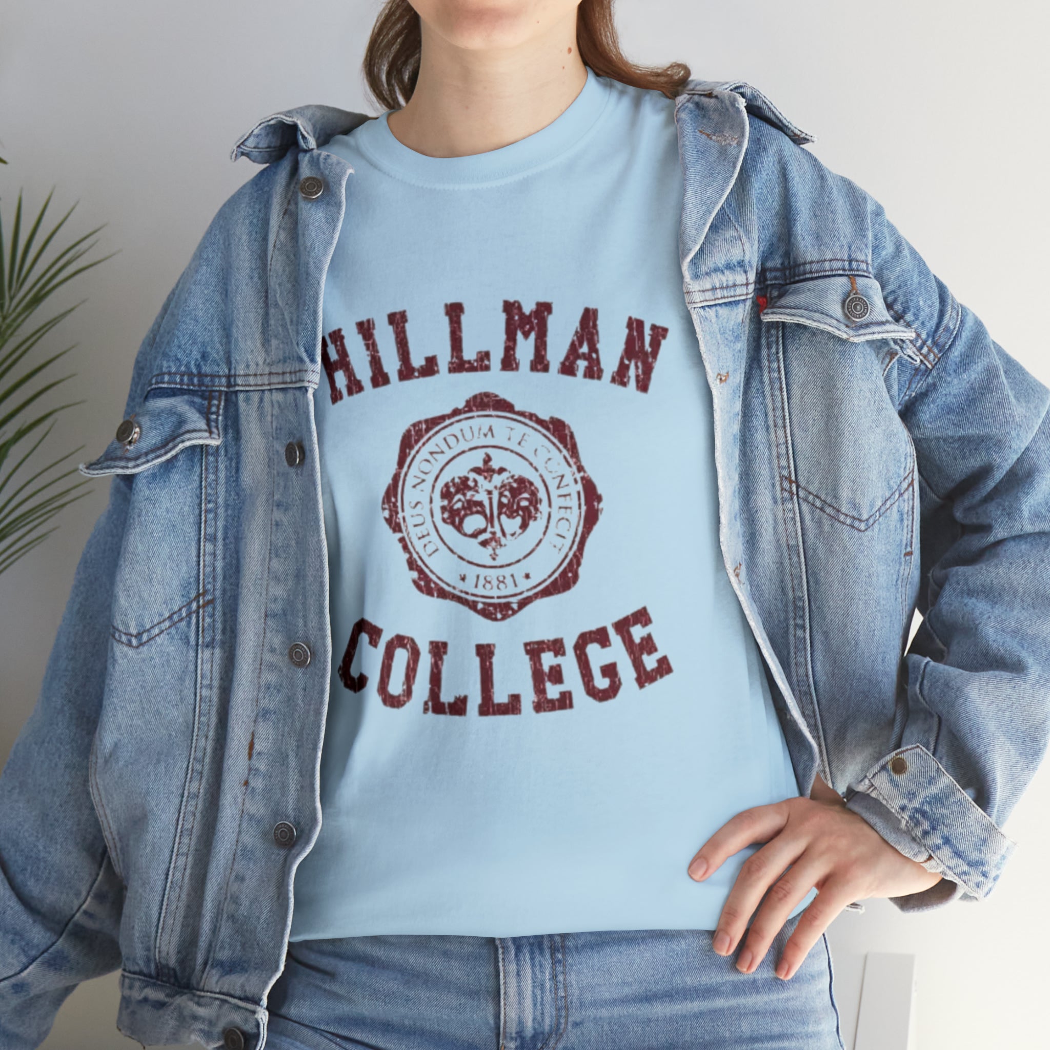 Hillman College- Unisex Heavy Cotton T-Shirt - Creations by Chris and Carlos