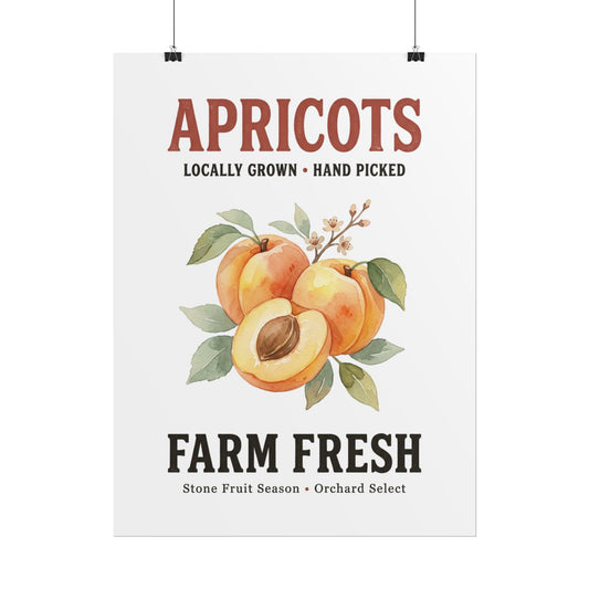 Apricots Farm Fresh Poster — Vintage Fruit Kitchen Wall Art - Creations by Chris and Carlos
