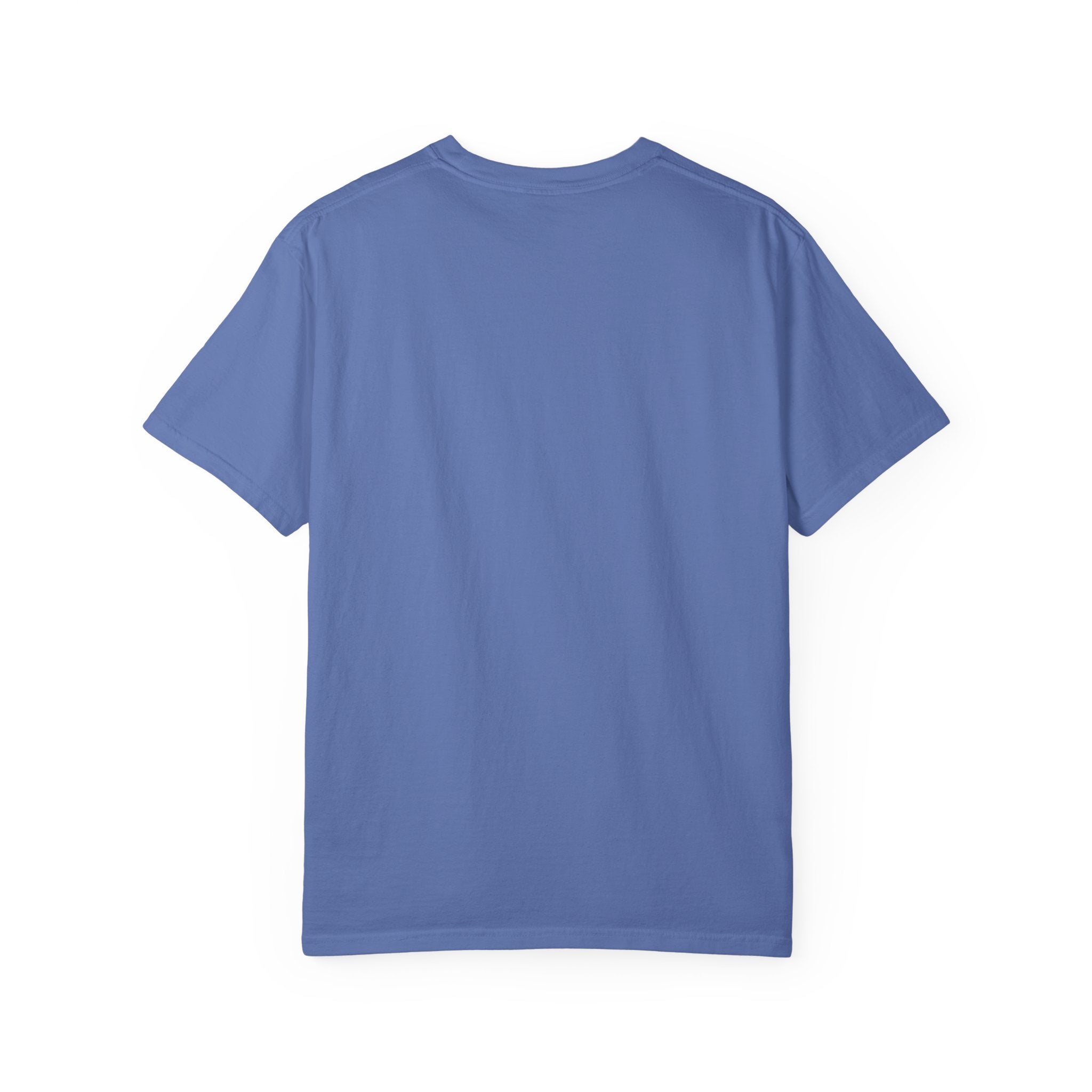 T-Shirt — Desert UFO Abduction Armadillo Graphic - Creations by Chris and Carlos