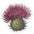 Timber & Thistle™ | Highland Thistle™ | Thistle Medallion™ Shaped Pillow