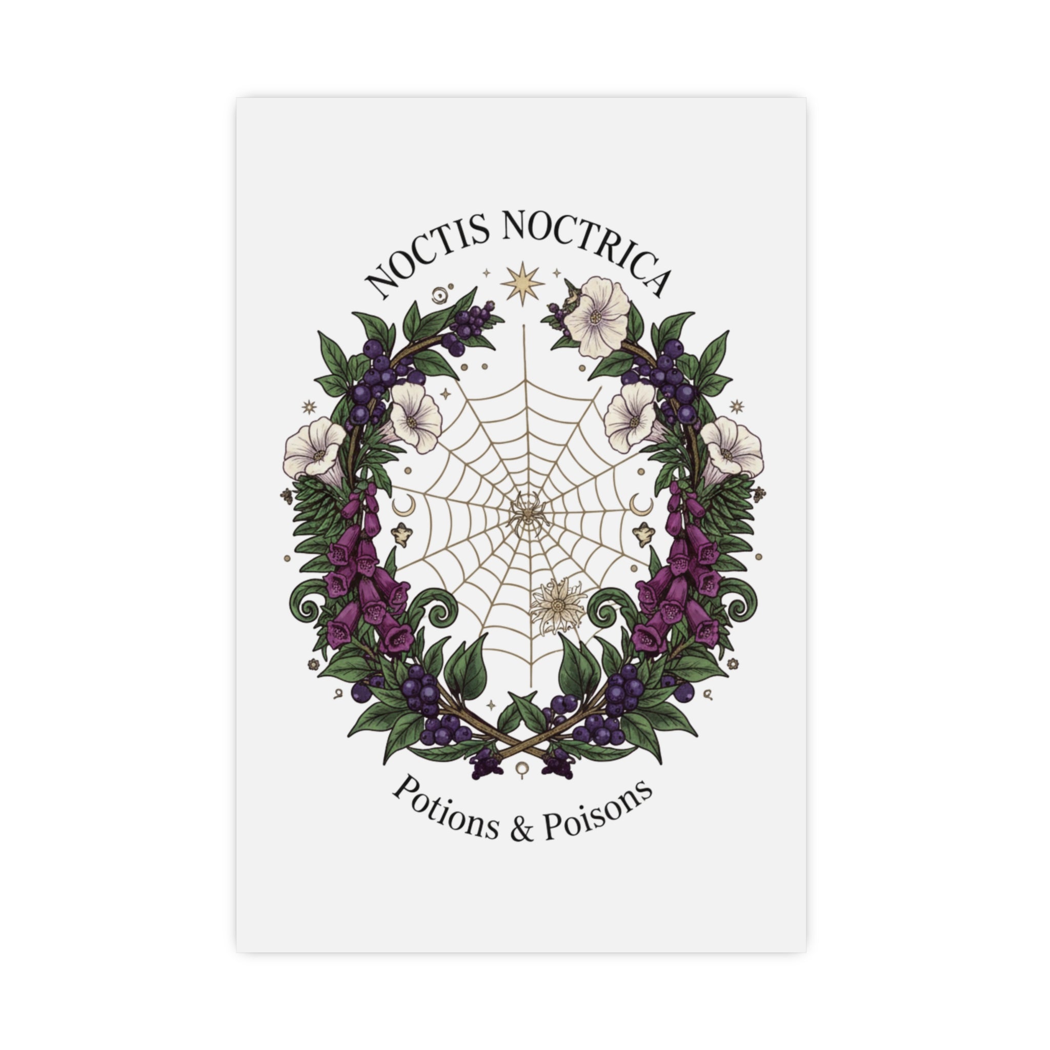Noctis Noctrica Floral Spiderweb Poster — 'Potions & Poisons' Matte Art Print - Creations by Chris and Carlos