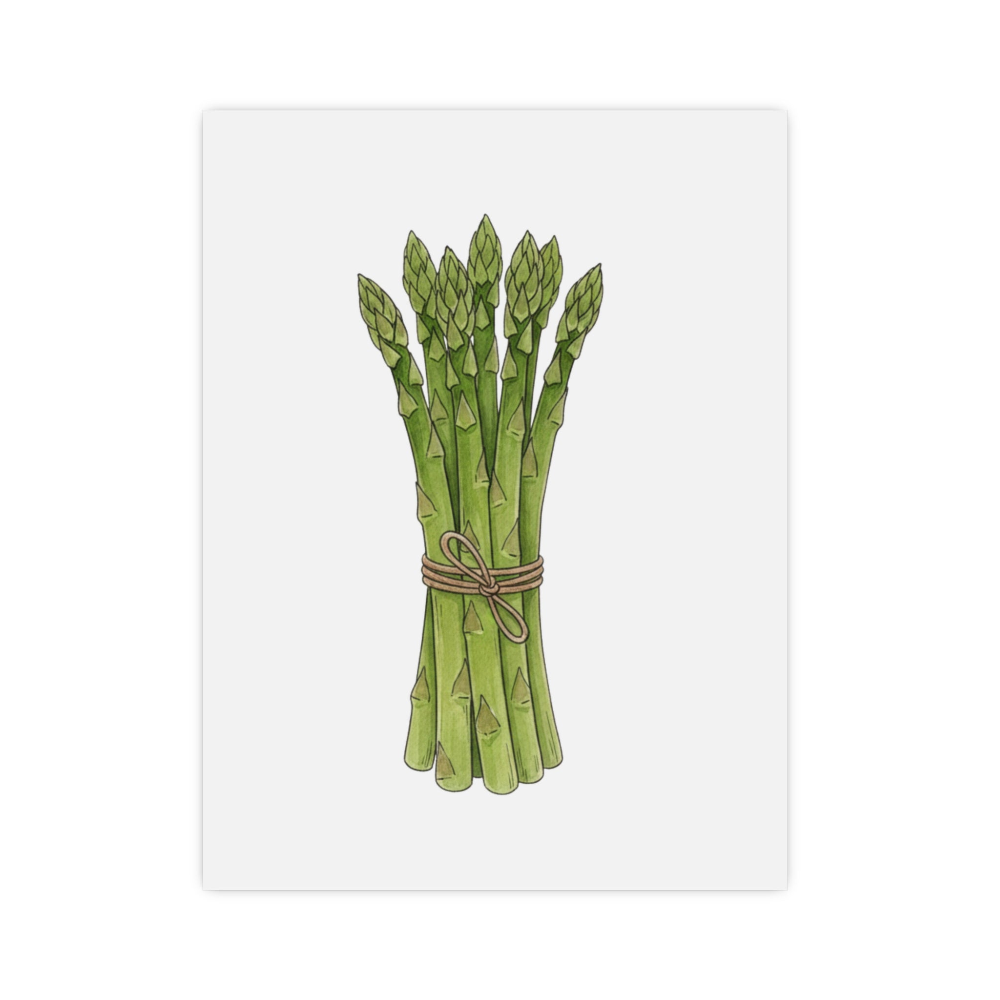 Asparagus Botanical Poster — Minimal Kitchen Wall Art (Vertical & Horizontal) - Creations by Chris and Carlos
