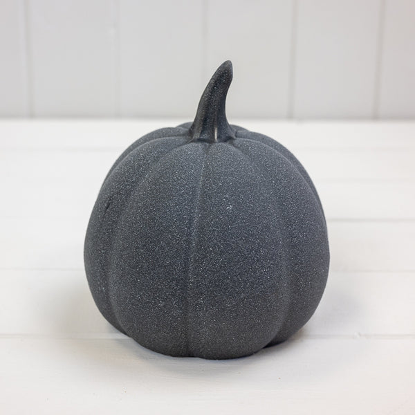 Midnight Harvest Pumpkin
