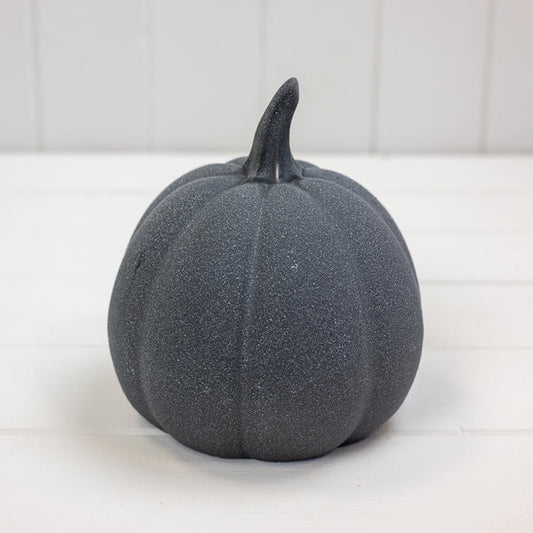 Midnight Harvest Pumpkin