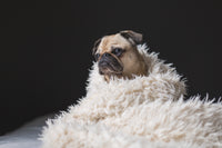 Blankets